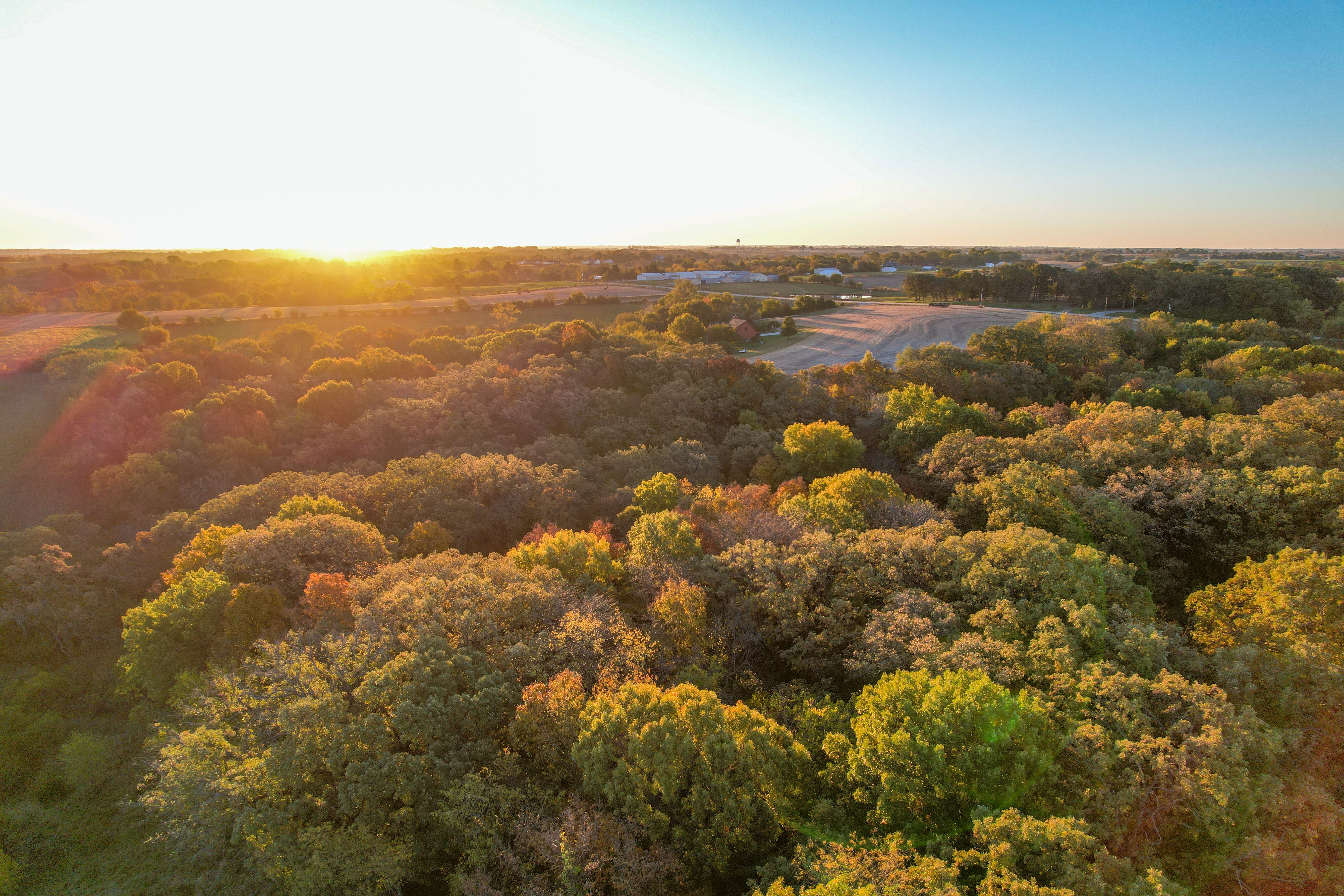 Listing Photo: Photo Oct 22 2025, 7 57 37 AM